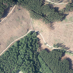 Satellite imagery of Alberstein, DE