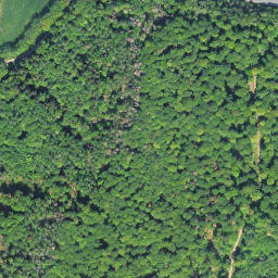 Satellite imagery of Dickersberg, DE