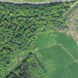 Satellite imagery of Dickersberg, DE