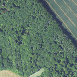 Satellite imagery of Eichberg, DE