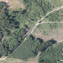Satellite imagery of Buscheid, DE
