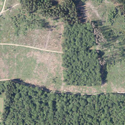 Satellite imagery of Buscheid, DE