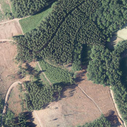 Satellite imagery of Alberstein, DE