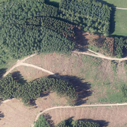Satellite imagery of Hohe Lohe, DE