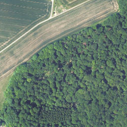 Satellite imagery of Holstein, DE