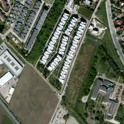 Satelita