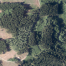 Satellite imagery of Buscheid, DE