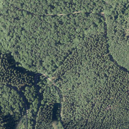 Satellite imagery of Buscheid, DE