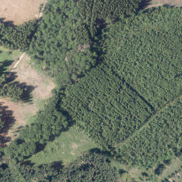 Satellite imagery of Hohe Lohe, DE