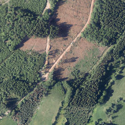 Satellite imagery of Hohe Lohe, DE