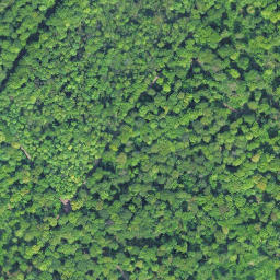 Satellite imagery of Kehrenberg, DE