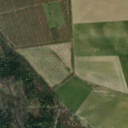 Satellite imagery of Tannenberg, DE