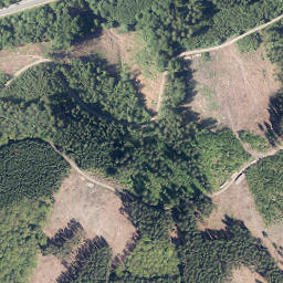Satellite imagery of Roschottberg, DE