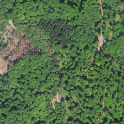 Satellite imagery of Auenberg, DE