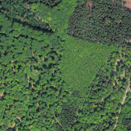 Satellite imagery of Braunauer Berg, DE