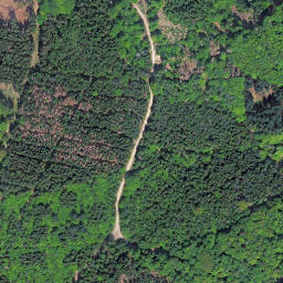 Satellite imagery of Braunauer Berg, DE