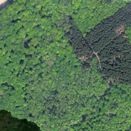 Satellite imagery of Goldberg, DE