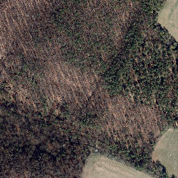 Satellite imagery of Kalte Laibe, DE