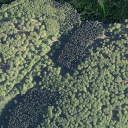 Satellite imagery of Rinnekopf, DE