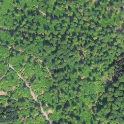 Satellite imagery of Schierberg, DE