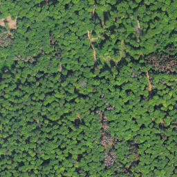 Satellite imagery of Auenberg, DE