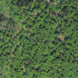 Satellite imagery of Auenberg, DE