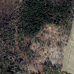Satellite imagery of Kalte Laibe, DE