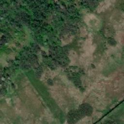Satelita