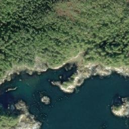 Satellite imagery of McEwan Point, CA