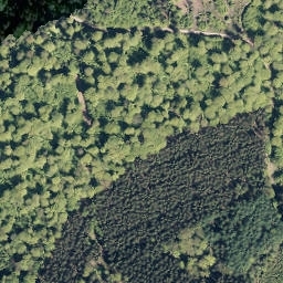 Satellite imagery of Wollfahrt, DE