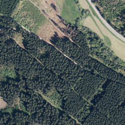Satellite imagery of Rimmert, DE