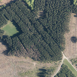 Satellite imagery of Rinnekopf, DE