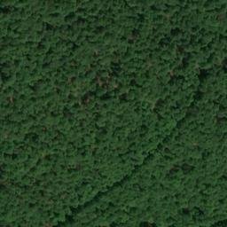 Satellite imagery of Großer Buchenfürst, DE