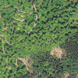 Satellite imagery of Schierberg, DE