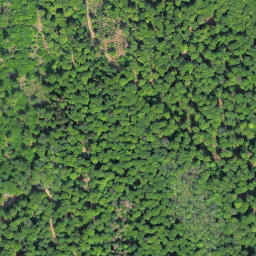 Satellite imagery of Auenberg, DE