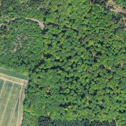 Satellite imagery of Gershausen, DE