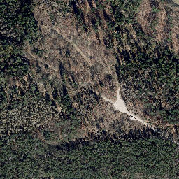Satellite imagery of Kalte Laibe, DE