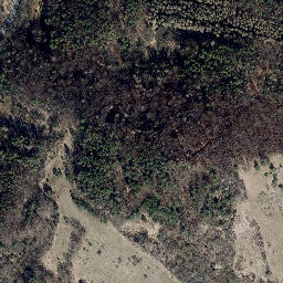 Satellite imagery of Wisch, DE