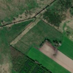 Satelita
