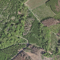 Satellite imagery of Mark, DE