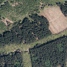 Satellite imagery of Rother Stein, DE