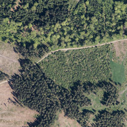 Satellite imagery of Wollfahrt, DE