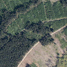 Satellite imagery of Rimmert, DE