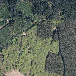 Satellite imagery of Rimmert, DE