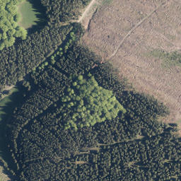Satellite imagery of Winterscheid, DE