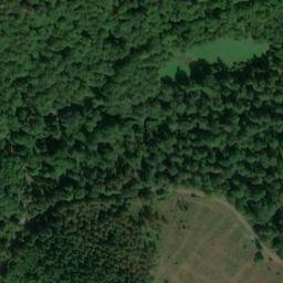 Satellite imagery of Großer Buchenfürst, DE