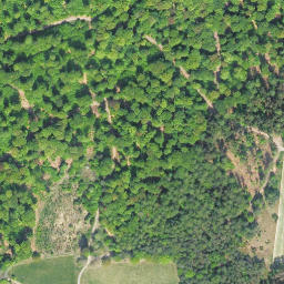 Satellite imagery of Schierberg, DE