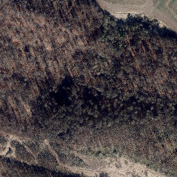 Satellite imagery of Hagenberg, DE