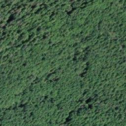 Satellite imagery of Green Point, CA