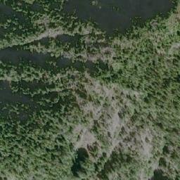 Satellite imagery of Swampfly Peak, CA